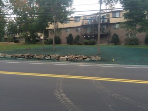 Commercial Hydroseeding    