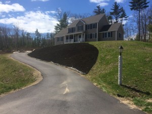 IMG 0297         