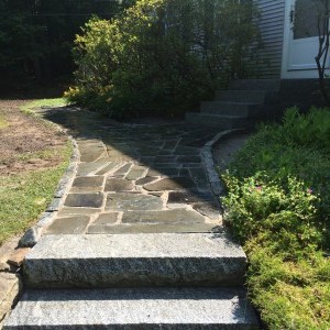 IMG 0537                 