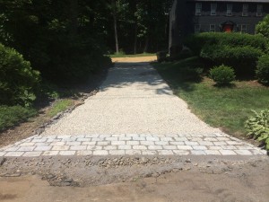 IMG 0636                  