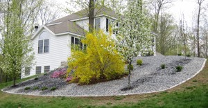 Landscaping - 2                                            
