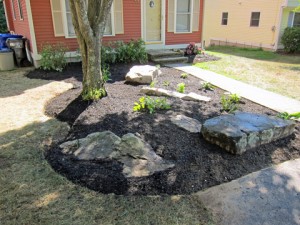 Landscaping - 3                                            